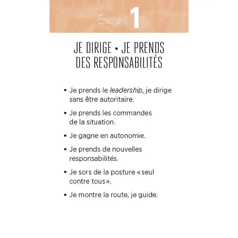 La Numérologie en Action - 44 Cartes - Lydie Castells, Natacha Calestrémé Le Courrier du Livre