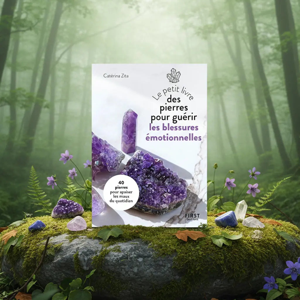 Livre blanc Le Petit Livre des Pierres pour Guérir les Blessures Emotionnelles de Catérina Zita, illustré de cristaux violets, posé sur un rocher en forêt.