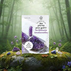 Livre blanc Le Petit Livre des Pierres pour Guérir les Blessures Emotionnelles de Catérina Zita, illustré de cristaux violets, posé sur un rocher en forêt.