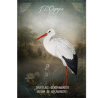Mademoiselle Lenormand - Coffret 36 Cartes - Gabriel Sanchez Editions Exergue
