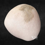 Pierre de morganite polie, présentant une teinte crème presque blanche avec une zone texturée légèrement plus sombre, photographiée sur un fond noir.