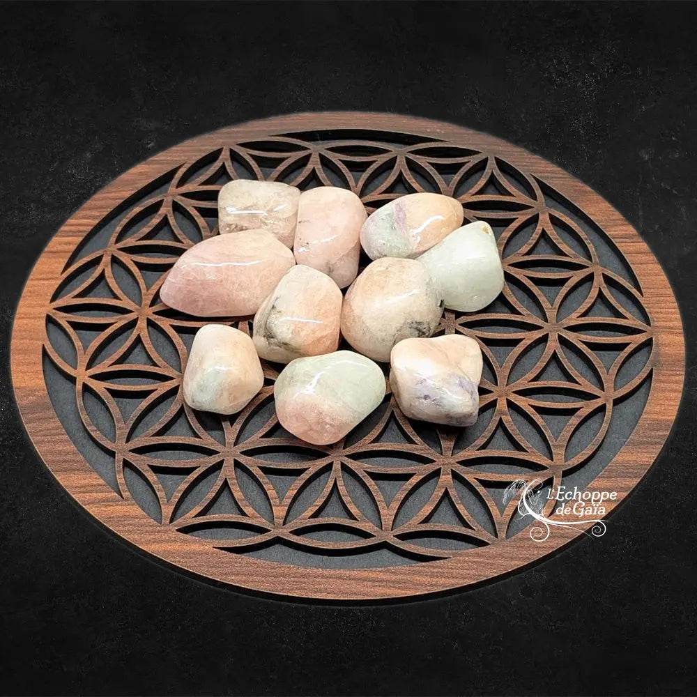 Pierres de morganite polies, aux douces nuances de rose et de pêche, disposées sur une fleur de vie en bois.