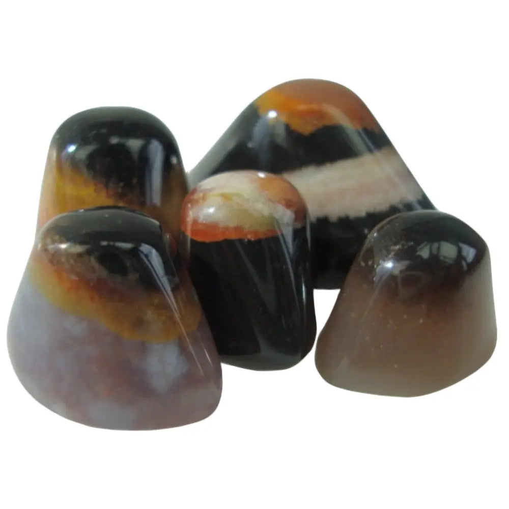Cinq pierres d'agate Œil de Shiva polies et bombées, présentant des bandes concentriques naturelles aux nuances de noir, brun et ocre, regroupées sur un fond blanc uni.