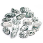 Pierres d'agate arbre (ou dendritique) polies, présentant des motifs verts sur fond blanc, disposées sur fond blanc.