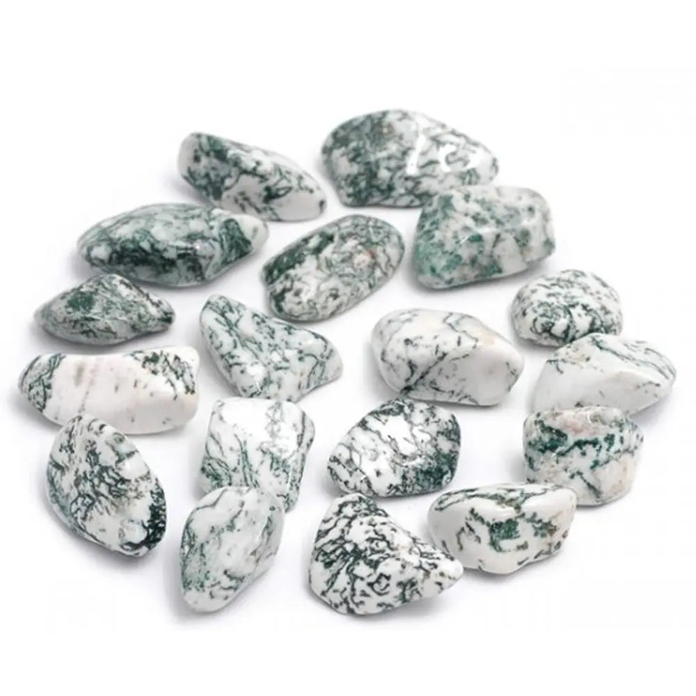 Pierres d'agate arbre (ou dendritique) polies, présentant des motifs verts sur fond blanc, disposées sur fond blanc.