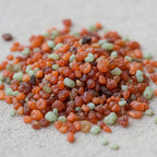 Gros plan sur un monticule de grains d'encens de résine Agrume, montrant des couleurs vives orange-rouille et des petites billes vert menthe pâle.