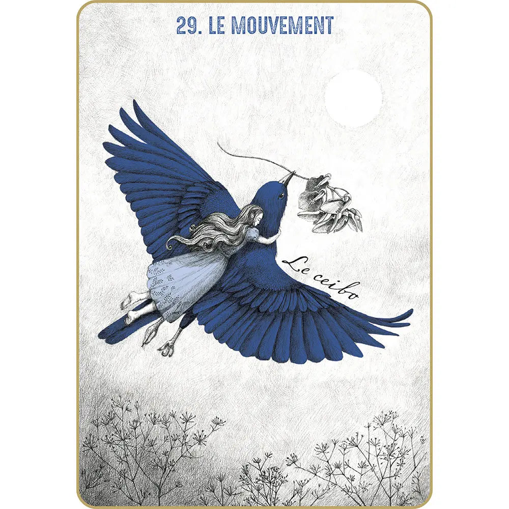 Akasha L'Oracle des Mémoires Akashiques - Emily Nicolle Editions Exergue