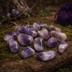 Sélection de pierres d'améthyste rubanée polies montrant des chevrons violets et blancs, disposées sur un tronc moussue avec un pochon violet en arrière-plan.