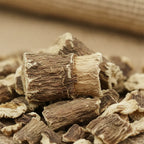 Gros plan sur morceaux de racine d’angélique sèche pour fumigation, beige et brun, texture fibreuse.