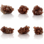 Une planche de six spécimens de cristaux d'aragonite brute montrant différentes formations d'agrégats prismatiques aux tons terreux, présentés sur un fond blanc avec reflets.