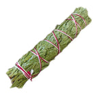 Bâton purificateur de cèdre vert pour fumigation, herbes liées avec ficelle blanche et rouge sur fond blanc.