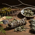 Bâton de fumigation armoise, herbes vert-brun ficelées de blanc, posé sur table en bois avec coquille d’ormeau, plume et plantes.