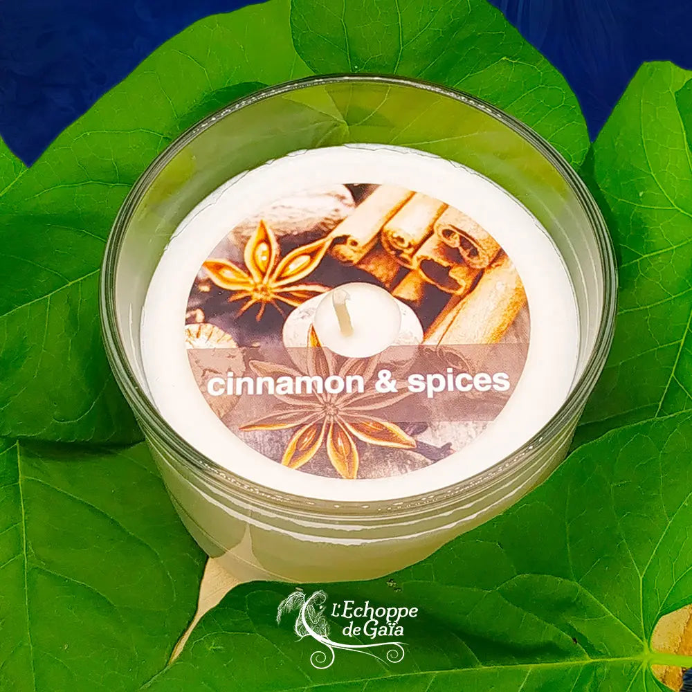 Bougie naturelle parfumée cannelle et épices présentée dans un contenant en verre transparent, surmontée d'une étiquette circulaire illustrée de bâtons de cannelle et de badiane avec l'inscription cinnamon & spices, posée sur de grandes feuilles vertes.