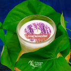 Bougie naturelle parfumée "true lavender" dans un pot en verre transparent, présentée sur un lit de grandes feuilles vertes.