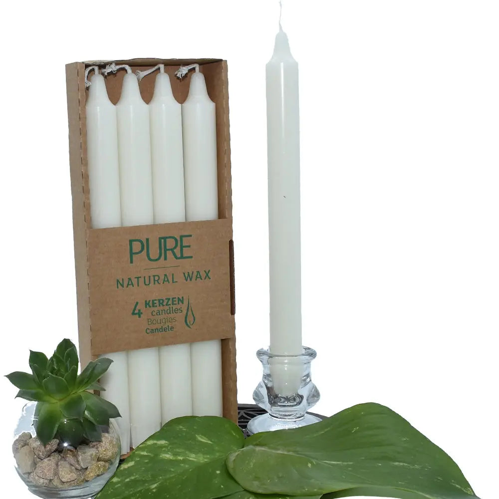 Bougies chandelles “PURE – Natural Wax” : lot de 4 bougies blanches dans un étui carton, avec une chandelle blanche présentée à côté dans un bougeoir en verre (mise en scène avec feuilles vertes + petite succulente).