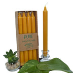 Bougies chandelles “PURE – Natural Wax” : lot de 4 bougies jaune/or (cire “antique”) dans un étui carton, avec une chandelle assortie présentée à côté dans un bougeoir en verre (mise en scène avec feuilles vertes + petite succulente).