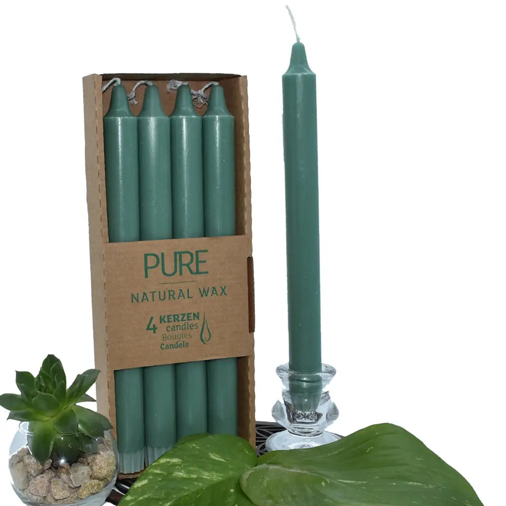 Bougies chandelles “PURE – Natural Wax” : lot de 4 bougies vert/vert canard (dans étui carton), avec une chandelle verte présentée à côté dans un bougeoir en verre, décorée de feuilles vertes et d’une petite succulente.