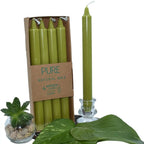 Bougies chandelles “PURE – Natural Wax” : lot de 4 bougies vert olive (dans étui carton), avec une chandelle présentée à côté dans un bougeoir en verre, décorée de feuilles vertes et d’une petite succulente.