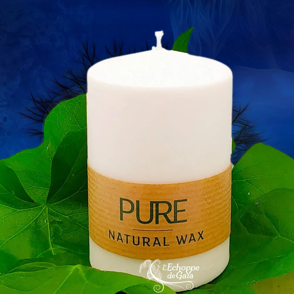 Bougie pilier blanche en cire naturelle « PURE », avec étiquette kraft, posée sur des feuilles vertes (L’Echoppe de Gaïa).