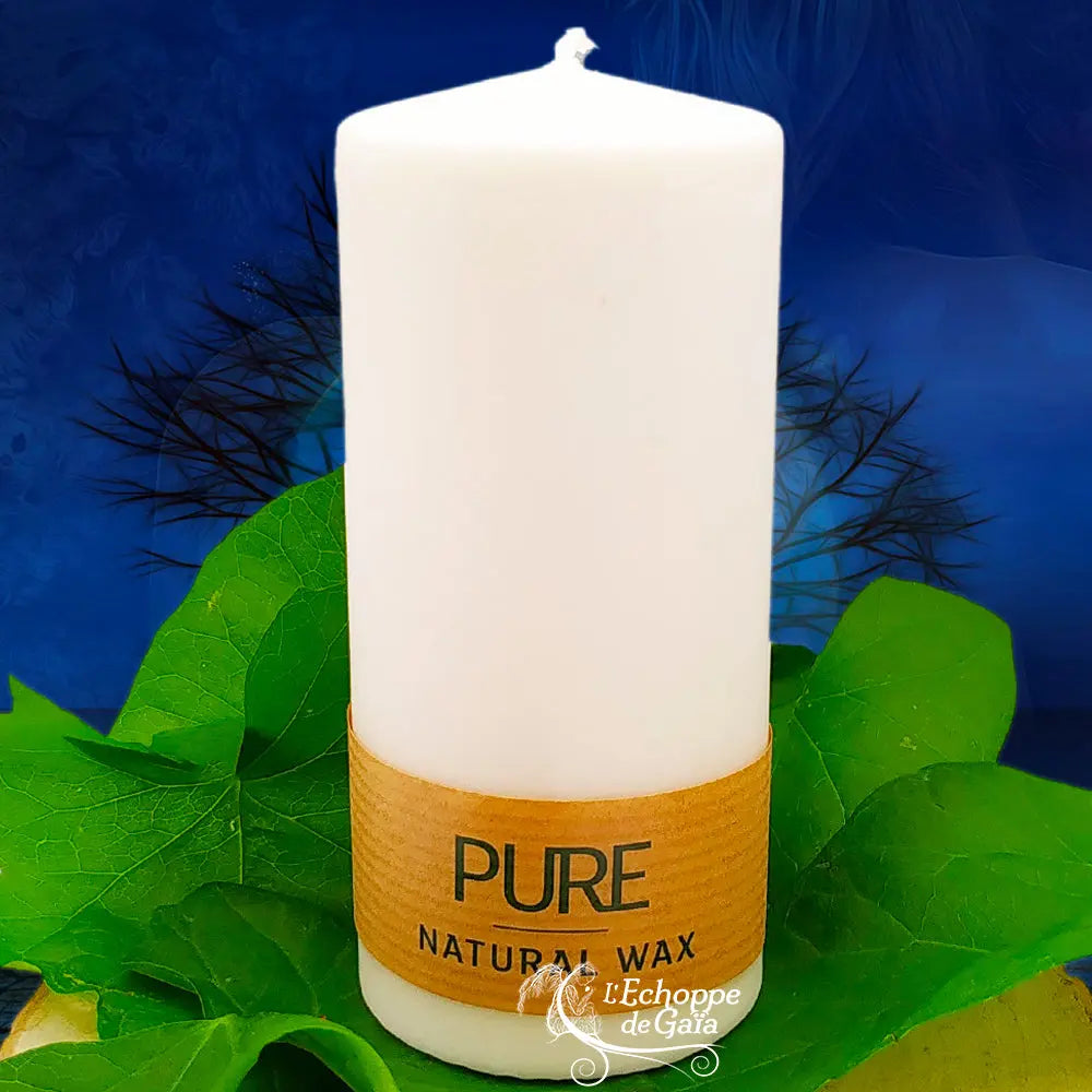 Bougie pilier blanche en cire naturelle « PURE », avec étiquette kraft, posée sur des feuilles vertes (L’Echoppe de Gaïa).
