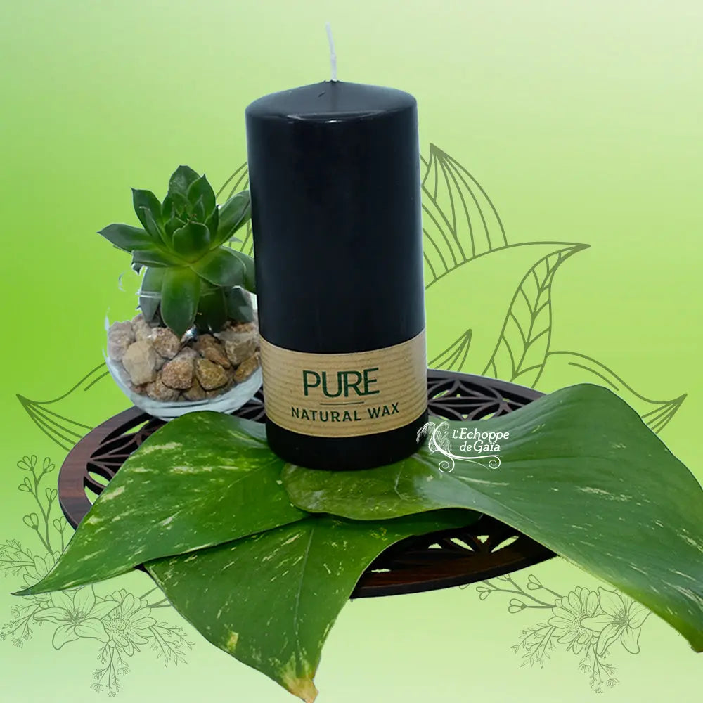 Bougie pilier noire « PURE » en cire naturelle, étiquette kraft, sur feuille verte avec plante succulente (L’Echoppe de Gaïa).