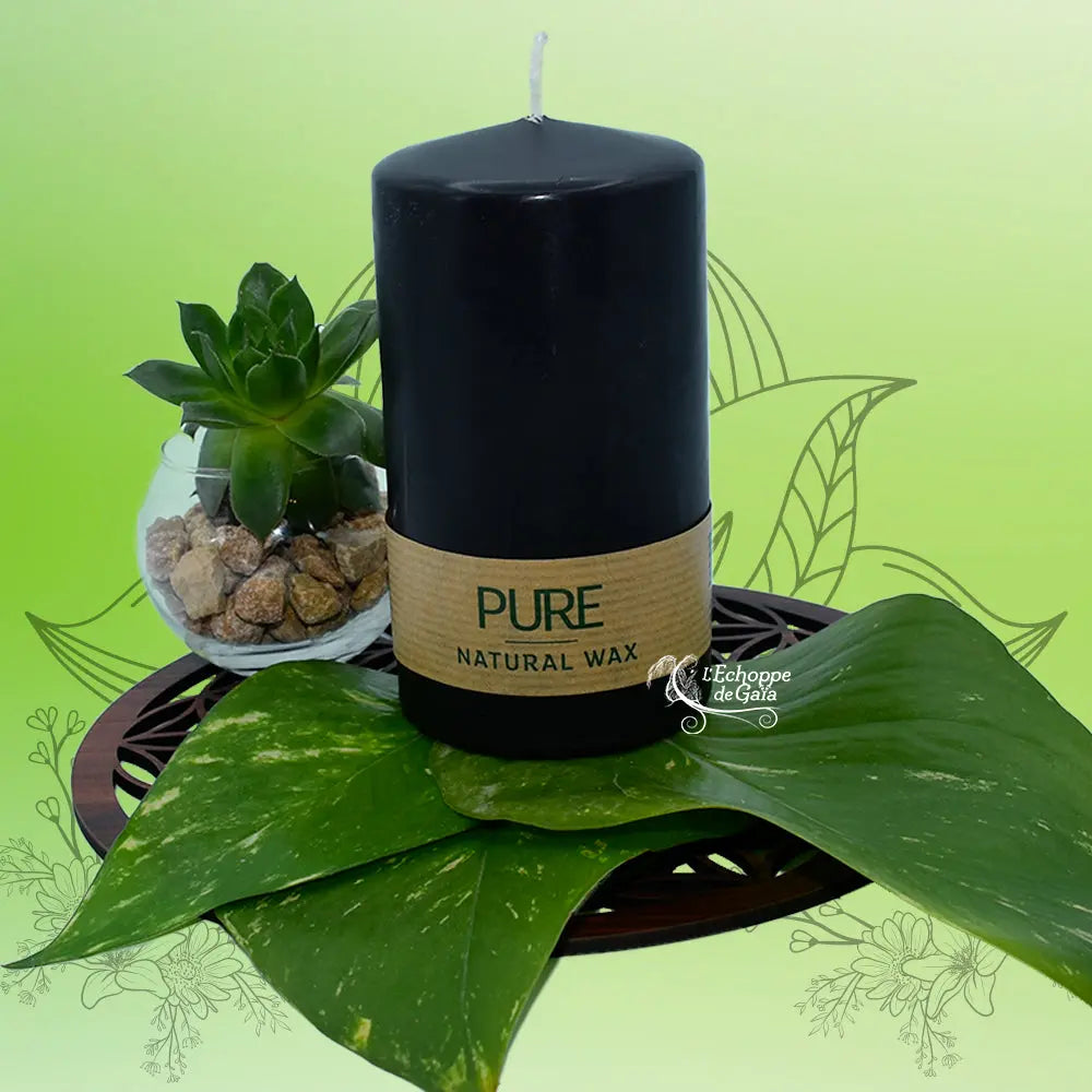 Bougie pilier noire en cire naturelle « PURE », avec étiquette kraft, posée sur une feuille verte avec plante succulente (L’Echoppe de Gaïa).