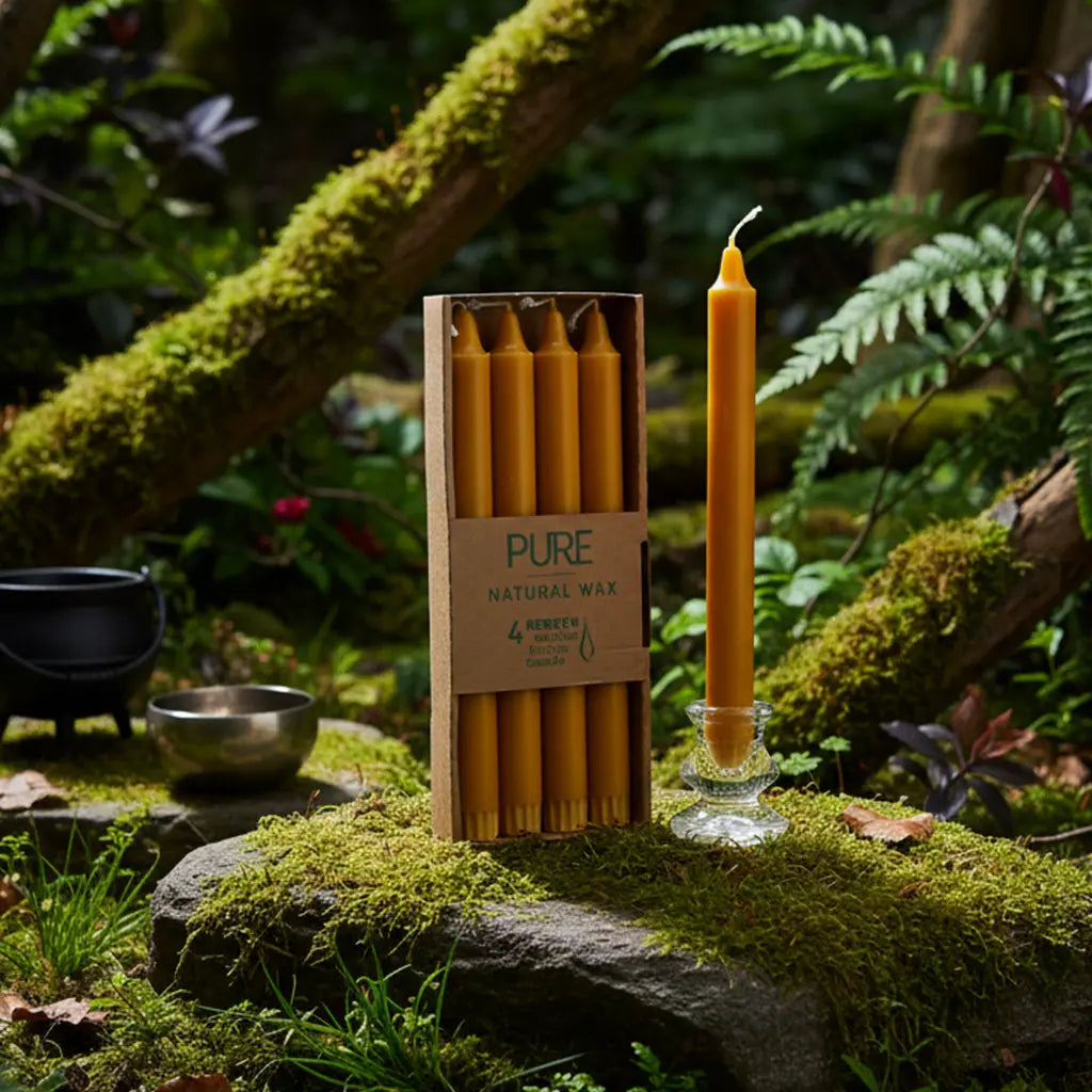 Boîte de 4 bougies longues couleur cire antique (jaune miel) Pure Candle dressée sur un rocher moussu en forêt, accompagnée d'un petit chaudron et d'un bol chantant pour un rituel de magie solaire.