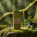 Boîte de 4 bougies longues vert olive Pure Candle dressée sur un rocher couvert de mousse en forêt, accompagnée d'un petit chaudron et d'accessoires de rituel naturel.