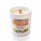 Une bougie parfumée naturelle « Sous le Figuier » de la marque Sapone & Sens, présentée dans un pot en céramique blanche avec une mèche en bois, sur un fond blanc.