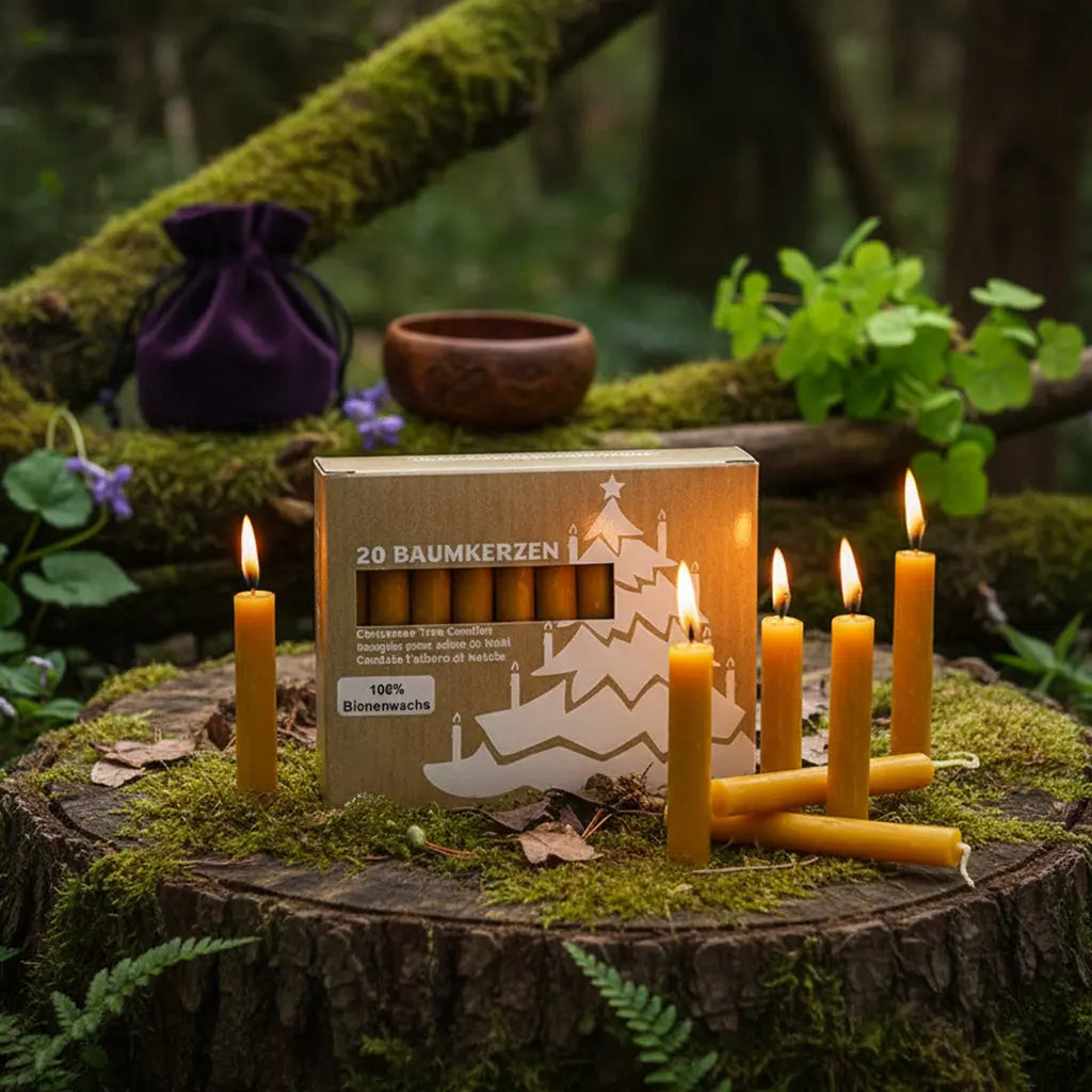 Boîte en carton de 20 bougies d'arbre posée sur une souche moussue forestière, entourée de plusieurs exemplaires de la Bougie mini 1,5h - 100% Cire d'Abeille allumés.