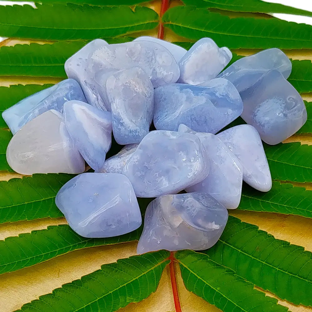 Un tas de pierres de calcédoine bleue roulées aux nuances pastel et aux surfaces lisses, disposé sur de longues feuilles vertes striées posées sur un support en bois clair.