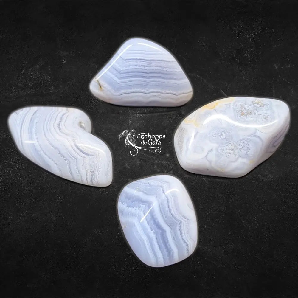 Quatre pierres de calcédoine bleue polies et rubanées, disposées sur un fond noir autour du logo de L'Échoppe de Gaïa.