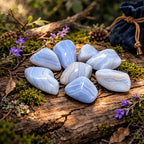 Pierres roulées de Calcédoine Bleue aux rubans bleutés et translucides, disposées en cercle sur une écorce ancienne entourée de fleurs violettes et de mousse dans une lumière de sous-bois.