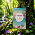 Livre Les Chakras et Corps Energétiques en Action ! sur mousse sacrée au pied d'un arbre, entouré de fleurs violettes sous des rayons de soleil magiques.