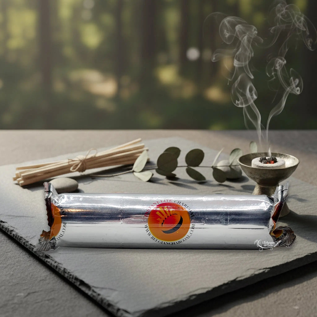 Charbons Ardents 33 mm - rouleau de 10 Belgium Charcoal