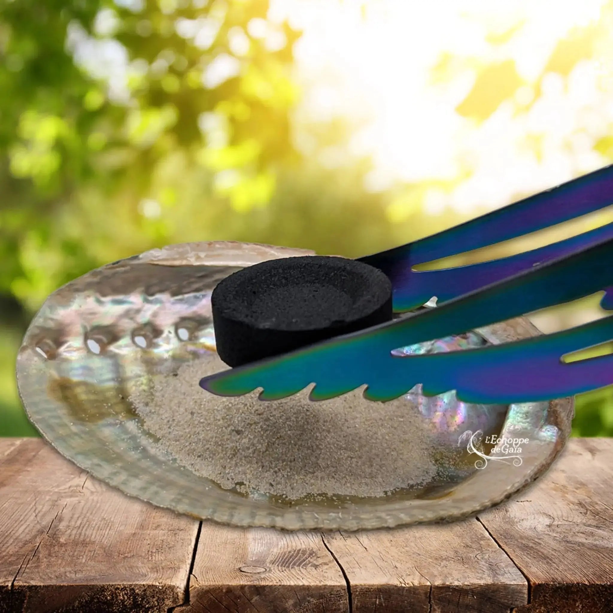 Pince irisée déposant un charbon sur du sable dans une coquille d'ormeau.