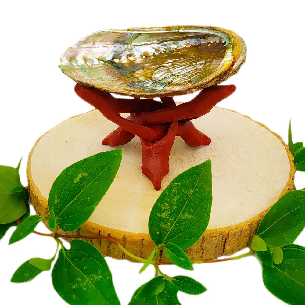 Coquille d'ormeau (Abalone) nacrée posée sur un trépied en bois rouge, sur une rondelle de bois décorée de feuilles.