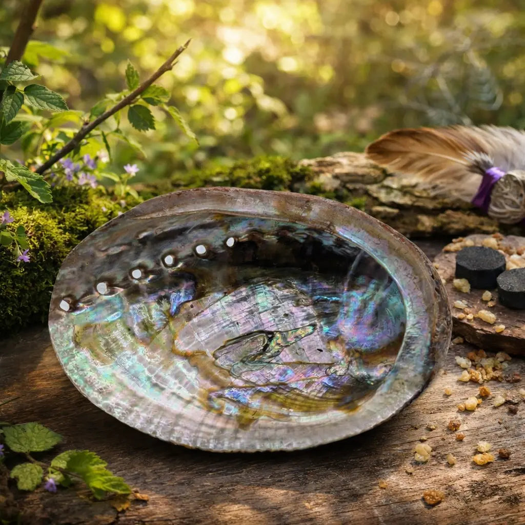 Coquille d'ormeau irisée aux reflets de nacre, posée sur un tronc en forêt. À ses côtés, des charbons ardents, de la résine d'encens et une plume de fumigation.