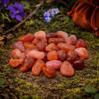 Multitude de pierres de cornaline polies aux nuances orangées et rouges éclatantes, disposées sur un support naturel moussue avec un pochon de velours orange.