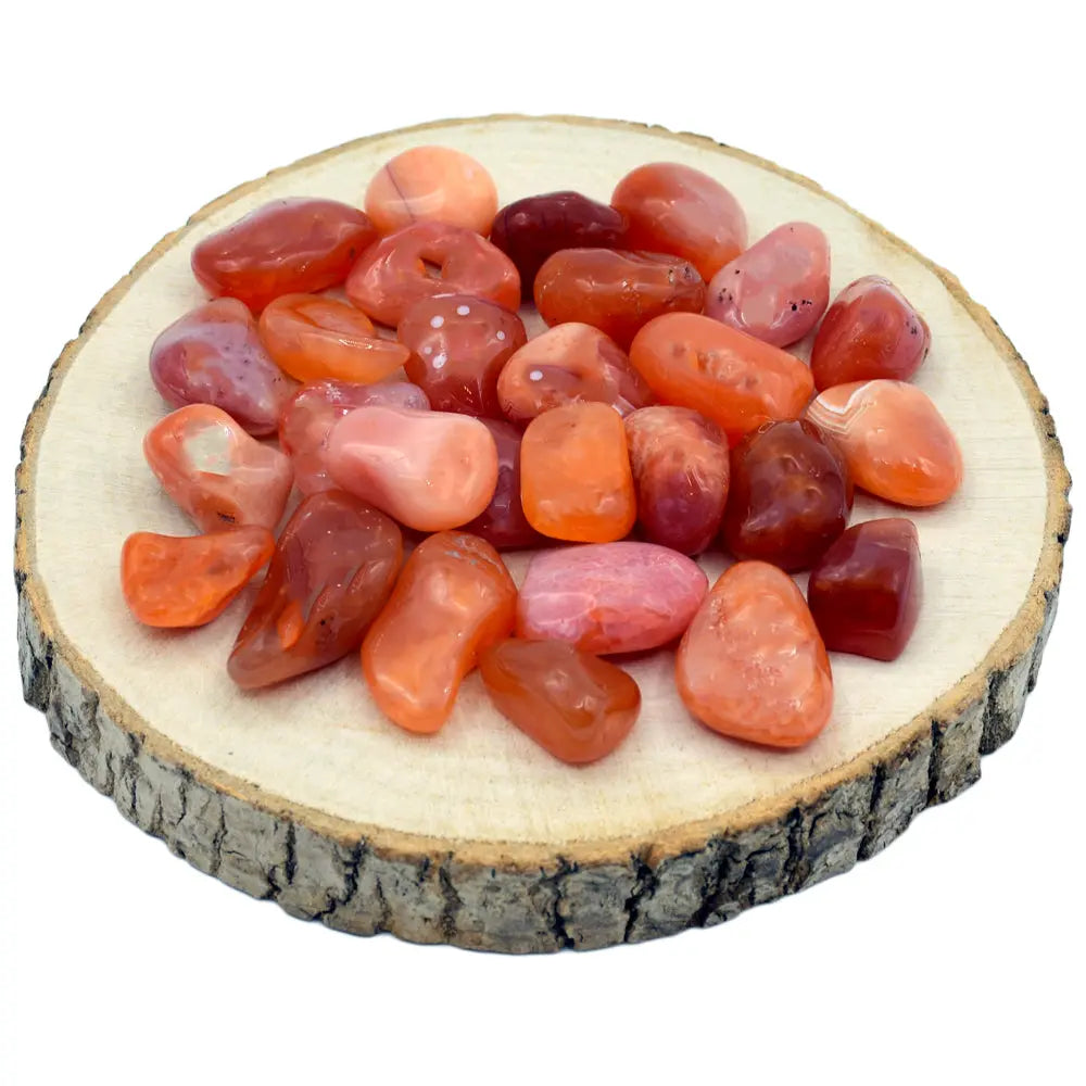 Un tas de petites pierres de cornaline roulées (taille S) aux nuances chaudes allant du orange clair au rouge brique, disposé sur une rondelle de bois naturel.