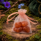 Petite pochette en organza pêche contenant plusieurs pierres de cornaline polies de taille XS, d'un orange chaud et brillant, posée sur une souche moussue.