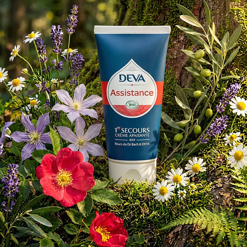 Tube bleu de Deva - Fleur du Dr Bach - Assistance 1er Secours Créme Apaisante entouré de fleurs sauvages et d'un rosier.
