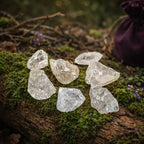 Plusieurs fragments de cristal de roche brut, translucides et facettés naturellement, posés sur une branche d'arbre recouverte de mousse avec un pochon violet en arrière-plan.