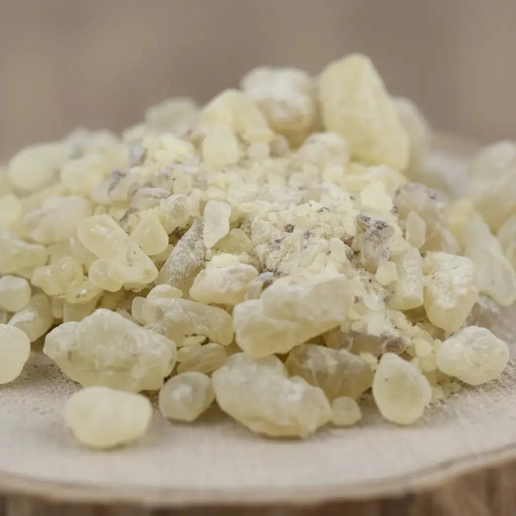 Gros plan sur des grains de résine d’encens dammar jaune pâle sur fond clair.