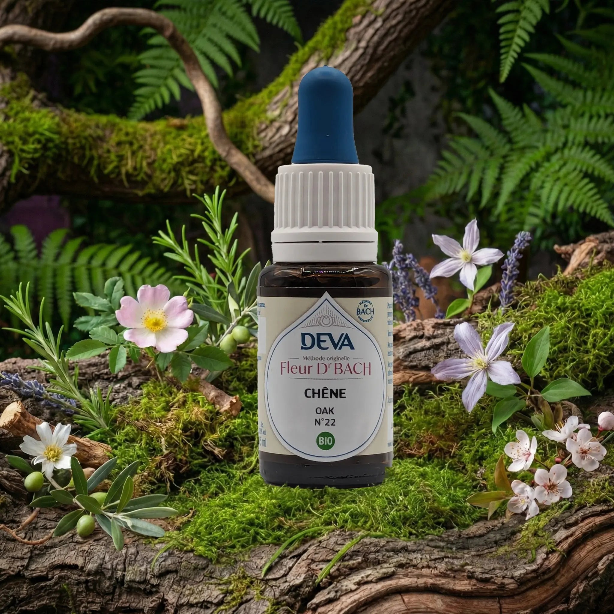 Flacon compte-gouttes Deva - Fleur du Dr Bach - Chêne N.22 sur un lit de mousse et plantes sauvages.