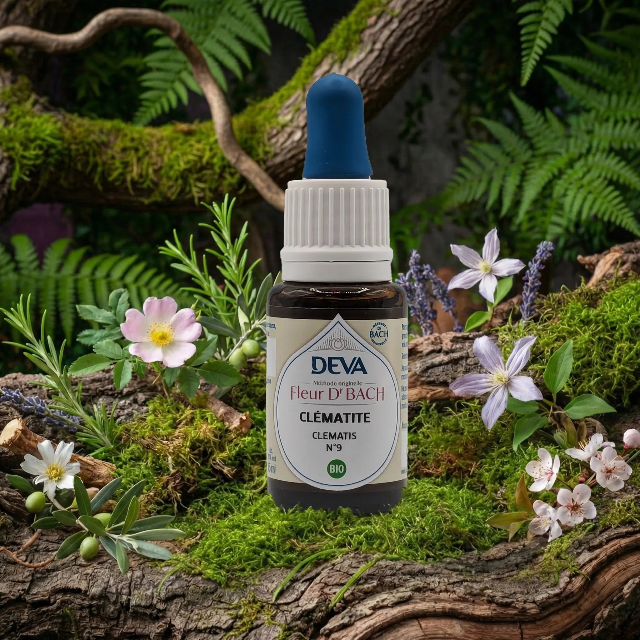 Flacon compte-gouttes Deva - Fleur du Dr Bach - Clématite N.9 sur un lit de mousse et plantes sauvages