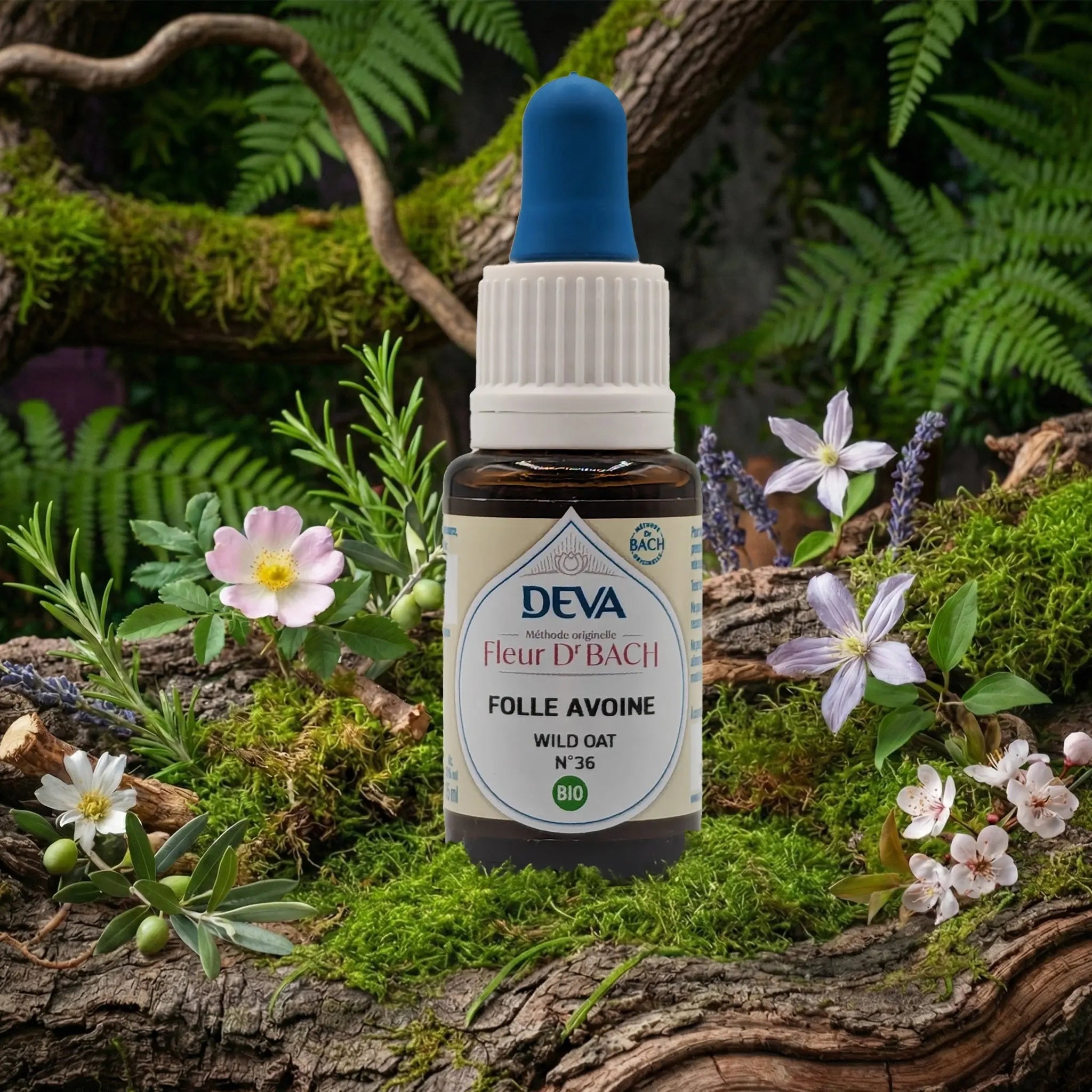 Flacon compte-gouttes Deva - Fleur du Dr Bach - Folle Avoine N.36 sur un lit de mousse et plantes sauvages