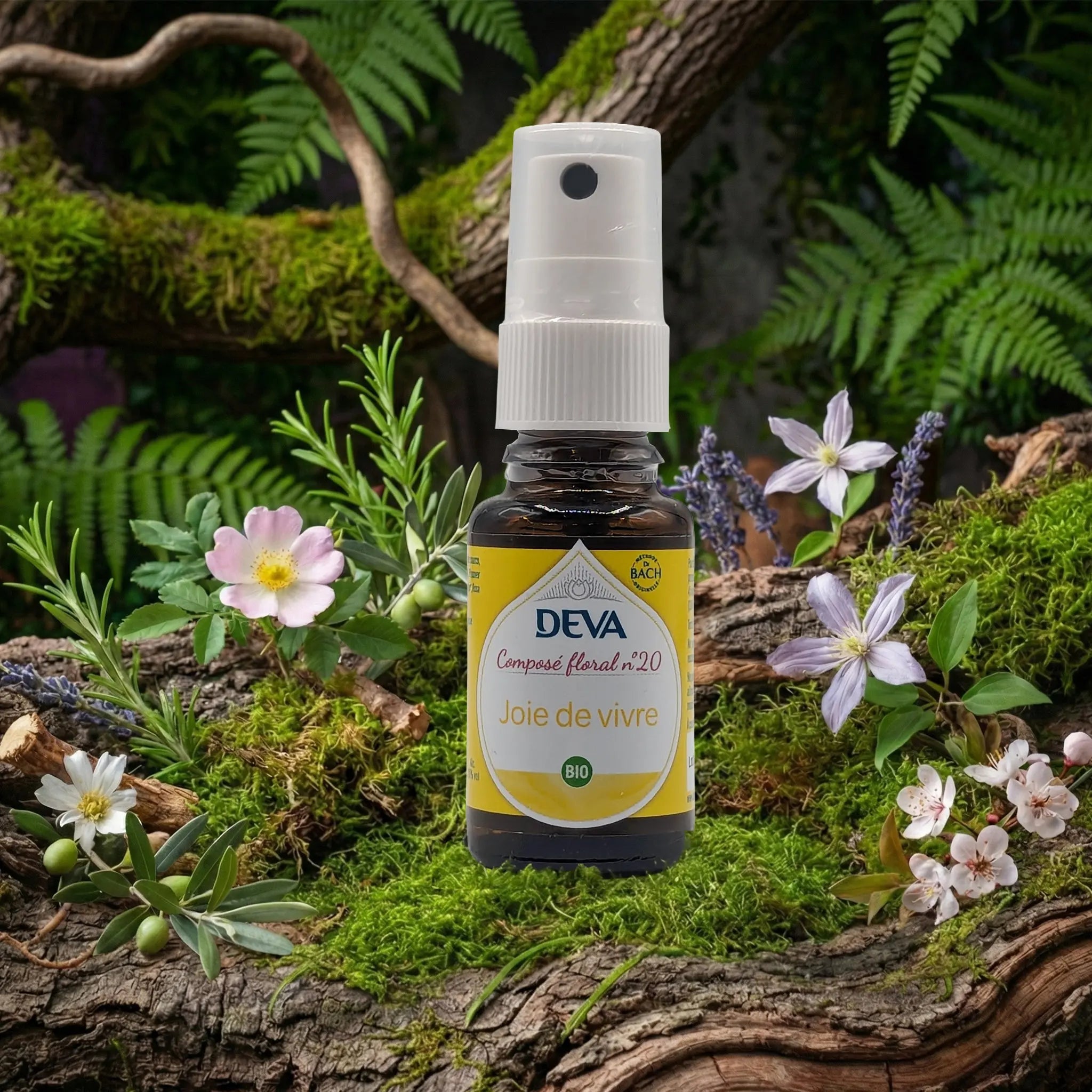 Flacon spray Deva - Composé Floral Dr Bach - Joie de Vivre N.20 sur un lit de mousse et plantes sauvages.
