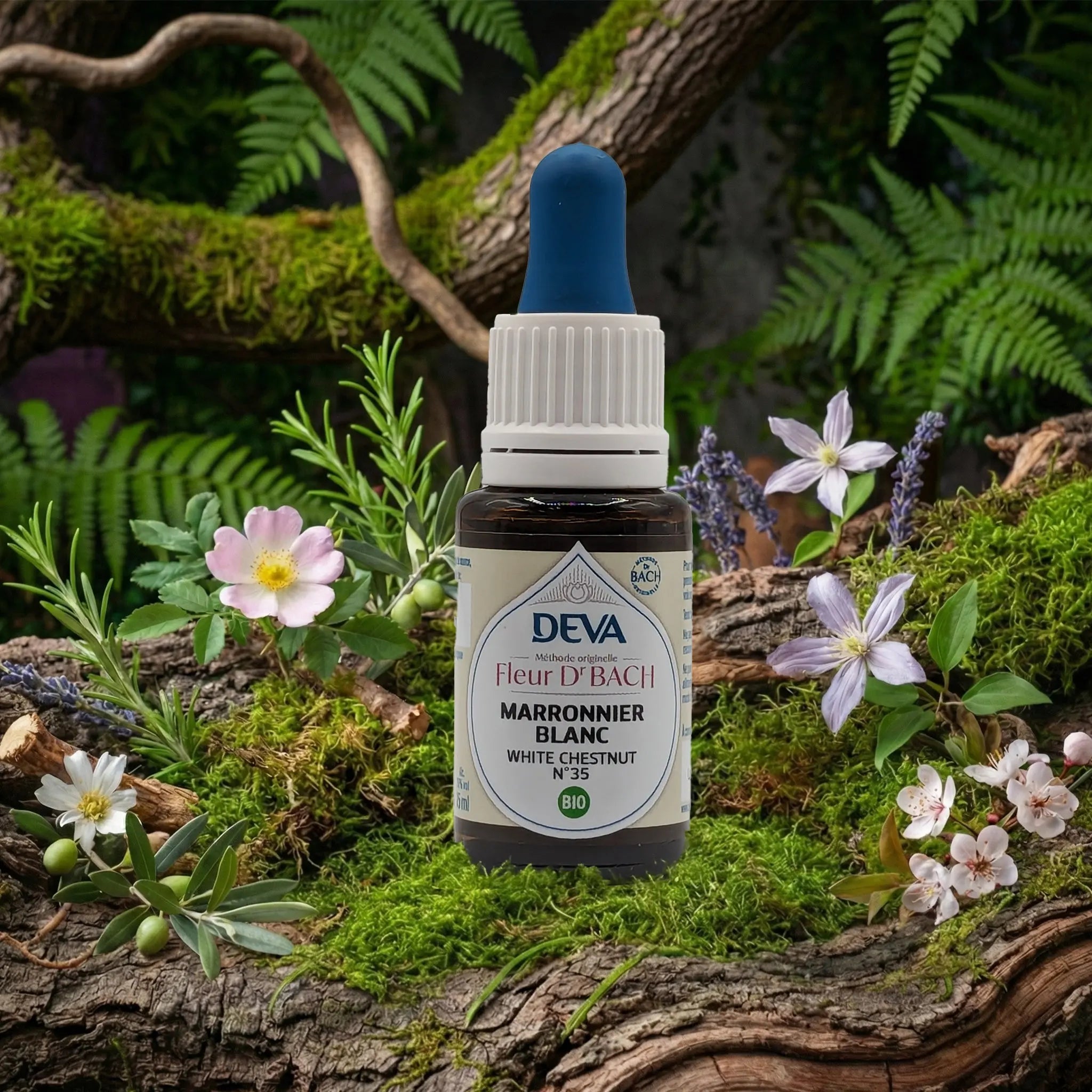 Flacon compte-gouttes Deva - Fleur du Dr Bach - Marronnier Blanc N.35 sur un lit de mousse et plantes sauvages
