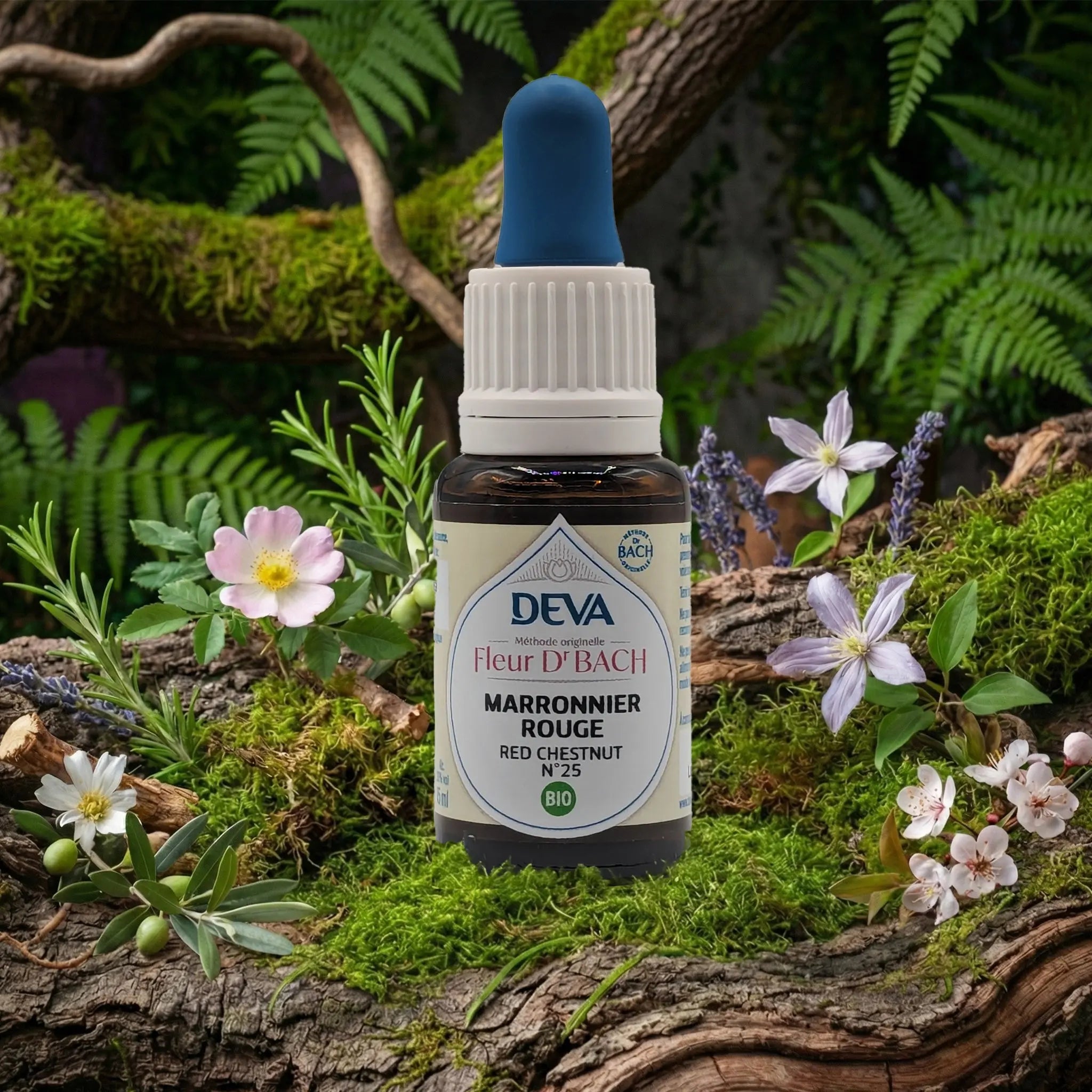 Flacon compte-gouttes Deva - Fleur du Dr Bach - Marronnier Rouge N.25 sur un lit de mousse et plantes sauvages
